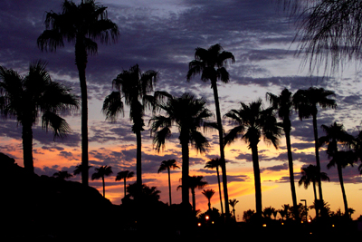 Scottsdale Sunset by Jason Smith